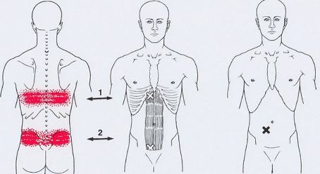 Точки спины где что болит