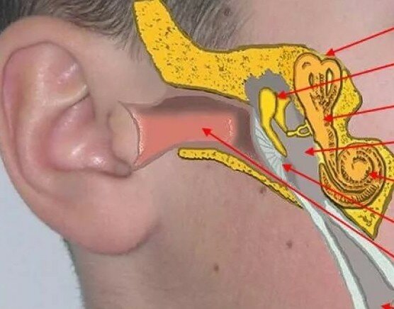 по утрам болит голова заложен нос