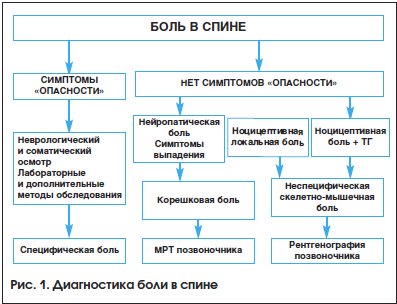 Рис. 1. Диагностика боли в спине Рис. 1. Диагностика боли в спине
