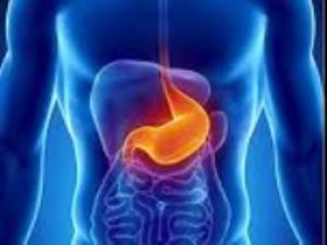 Признаки заболевания органов пищеварительного тракта Признаки заболевания органов пищеварительного тракта