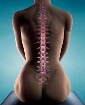 Утренние упражнения для позвоночника если болит спина