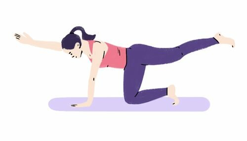 uprazhnenija dlja spiny i pojasnicy ohotnichja sobaka uprazhnenija dlja spiny i pojasnicy ohotnichja sobaka