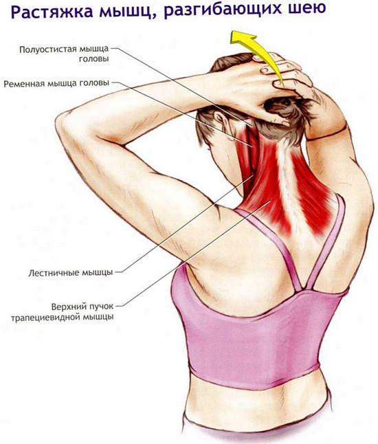Разминка затёкших мышц